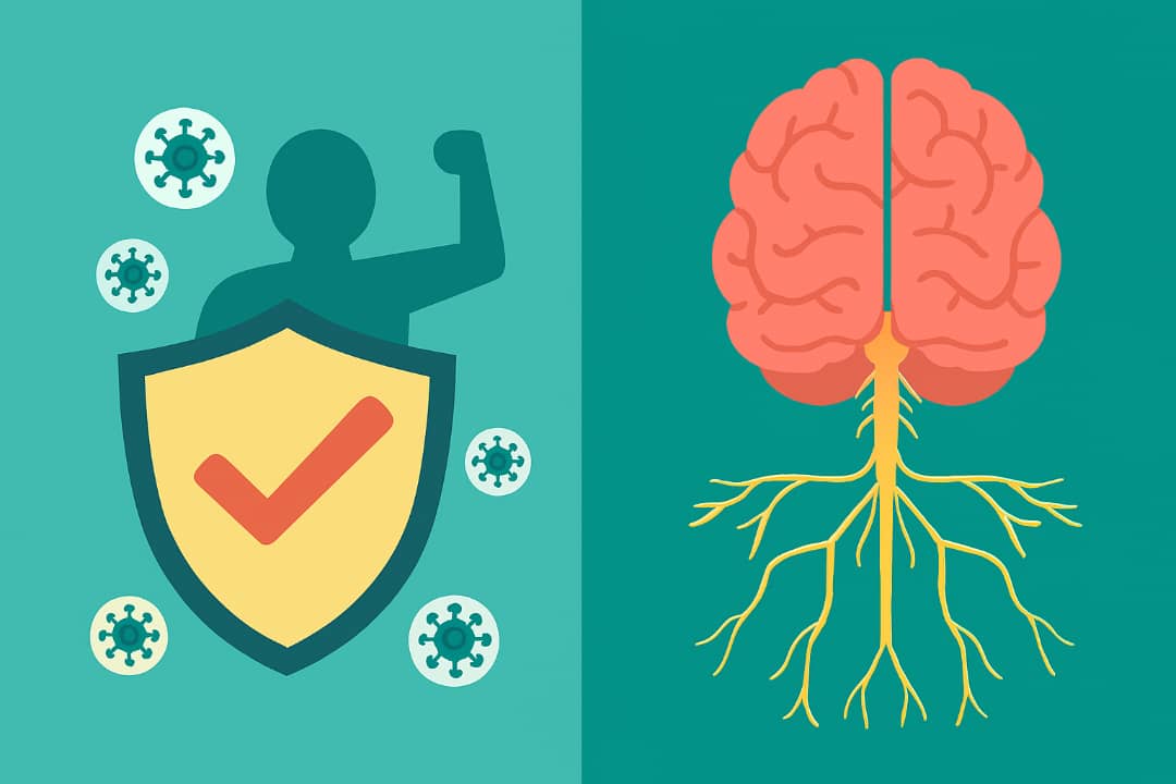 کپسول کینوکو گلد AHCC (Kinoko Gold AHCC) و نقش تحولآفرین آن در بهبود کیفیت زندگی